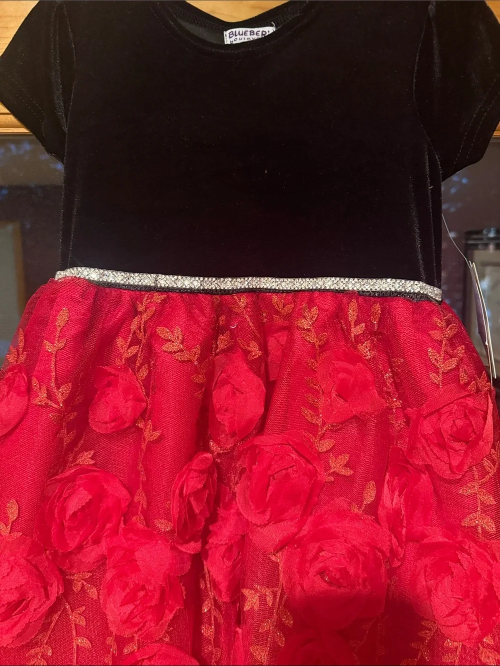 Girls Black Velvet Top Red Rose Skirt Holiday Dress 6X NWT